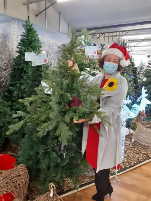 Abacus supports Lewis-Manning Hospice Care Christmas tree collection service